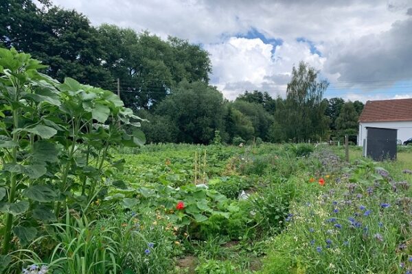 Gemüsegarten mieten in Bielefeld