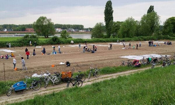 Garten mieten - Düsseldorf Volmerswerth