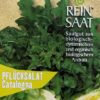 Pflücksalat Catalogna