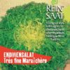 Salat - Endiviensalat Très fine Maraîchère