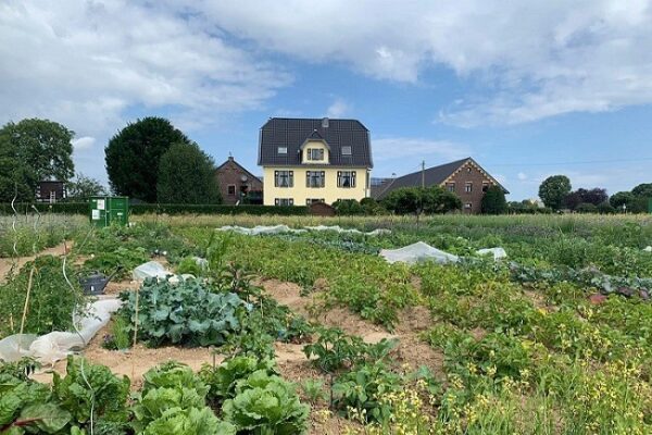 Gemüsegarten mieten in Krefeld